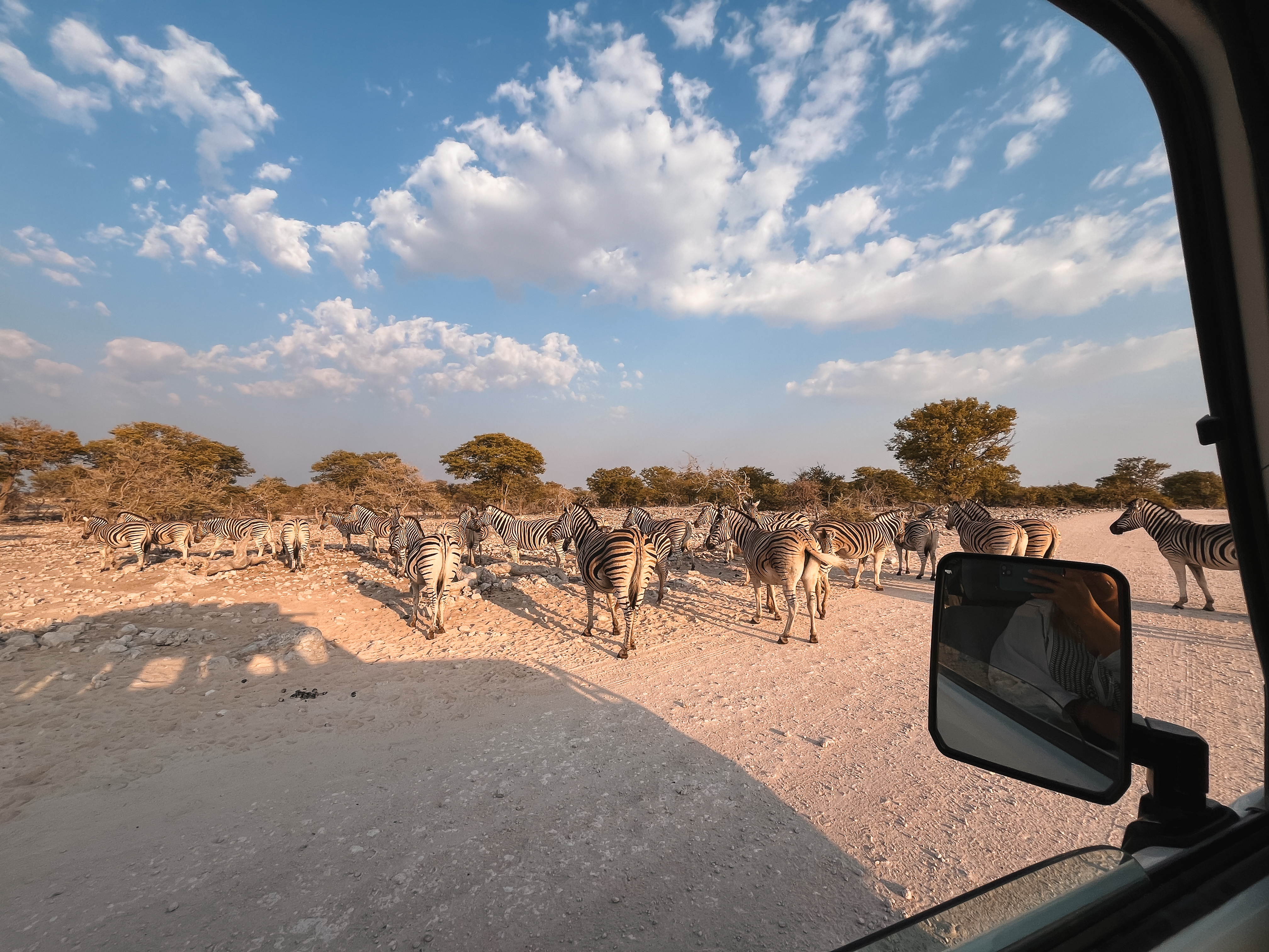 Safari im Etosha Nationalpark als Selbstfahrer