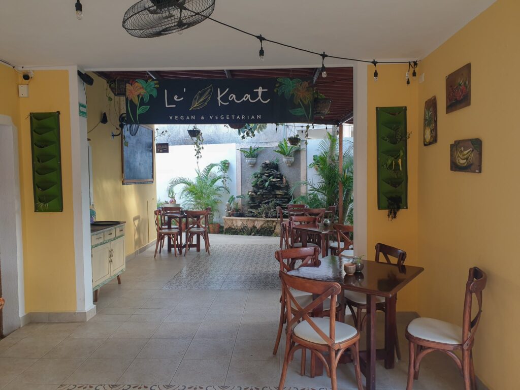 Le Kaat in Valladolid