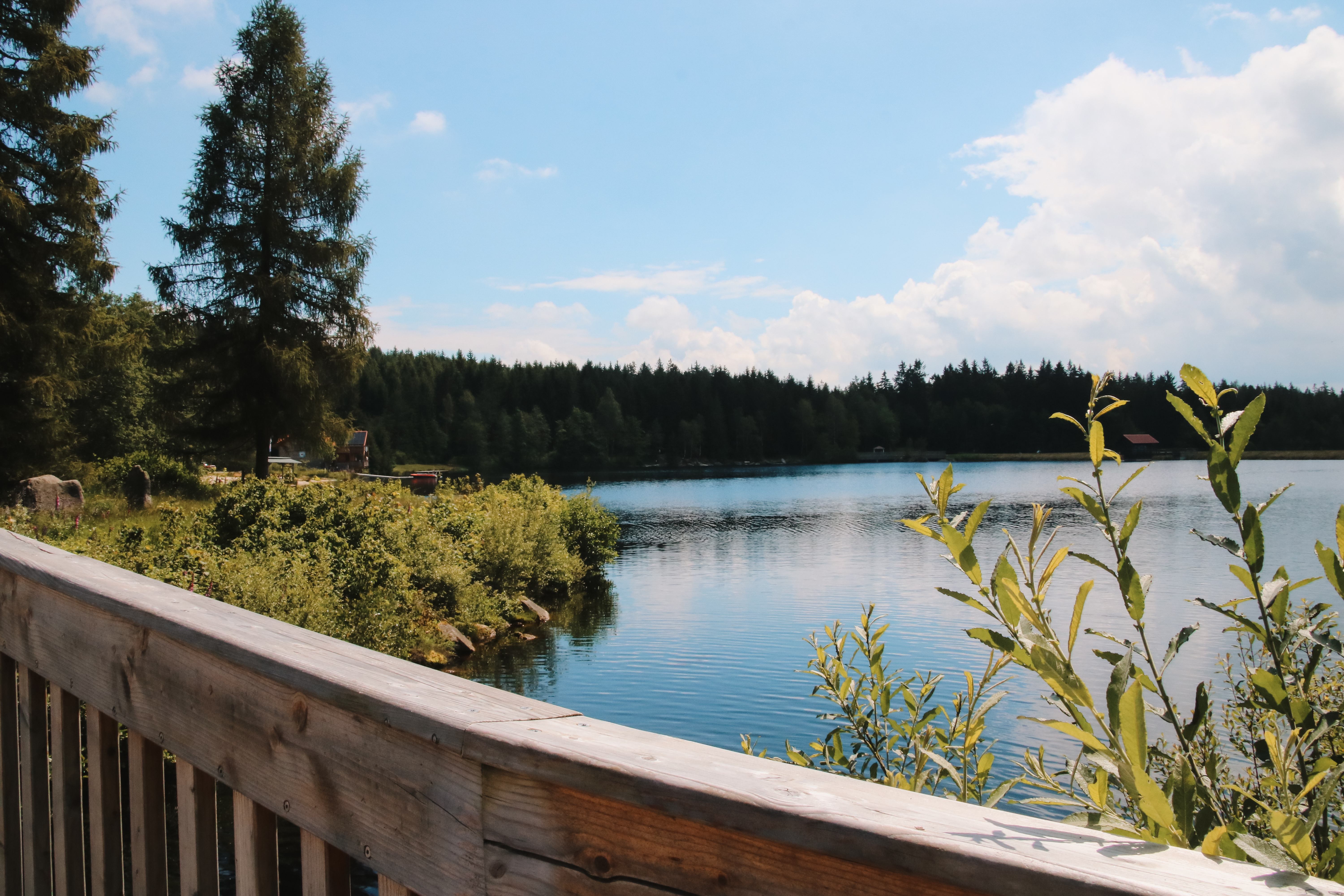 Fichtelsee in Fichtelberg