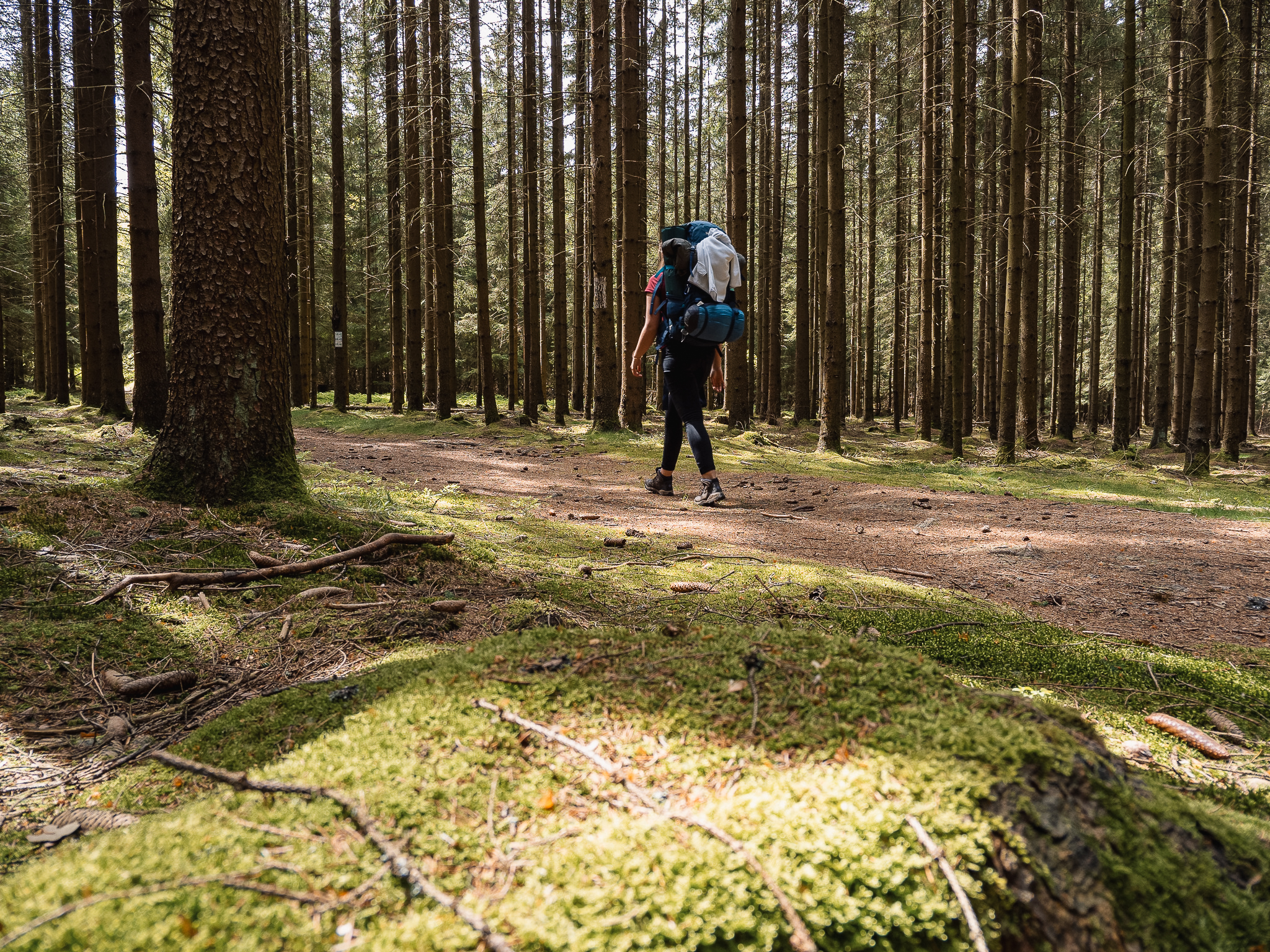 Natur des Frankenwaldes