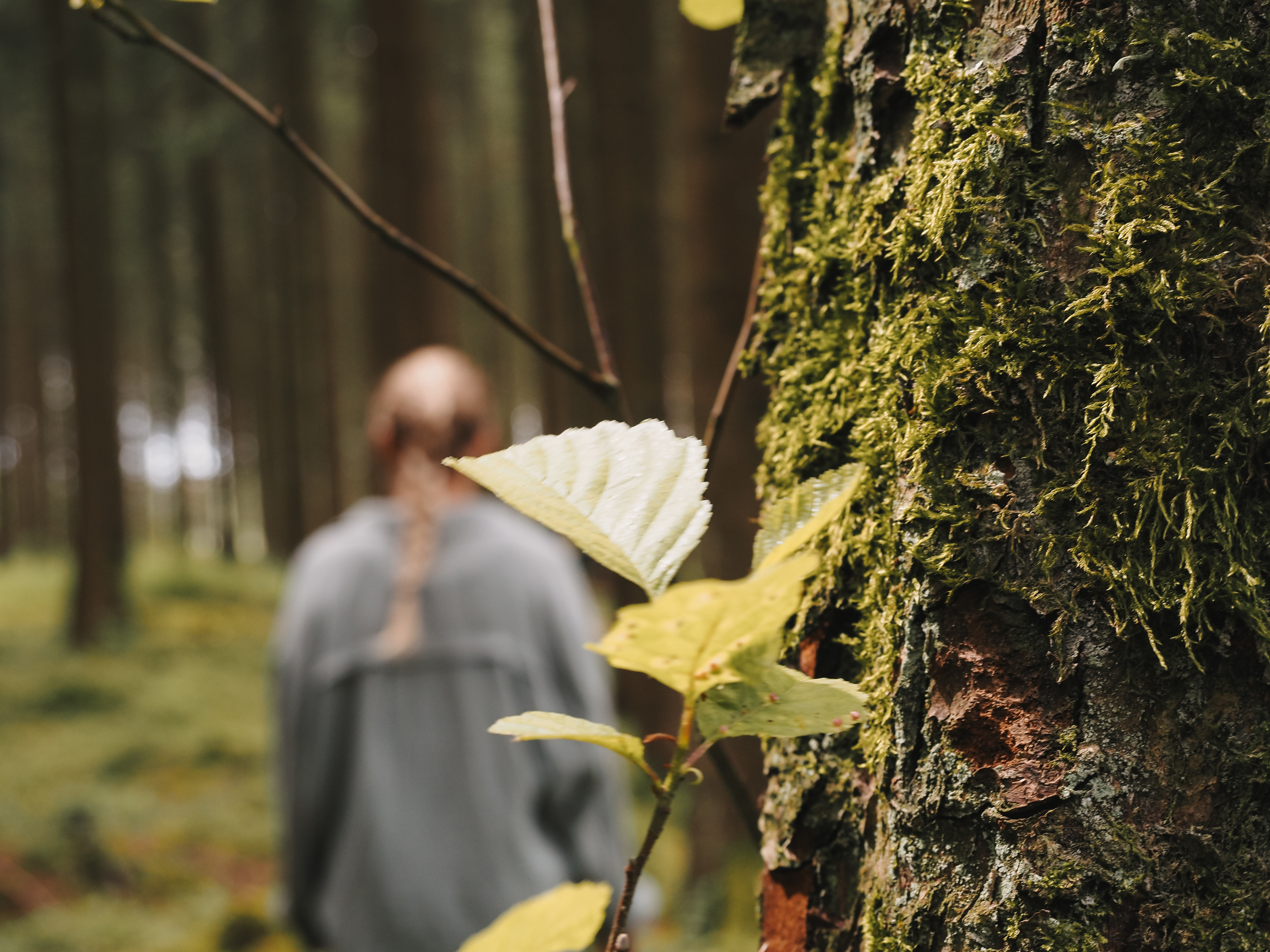 Wanderungen im Fichtelgebirge