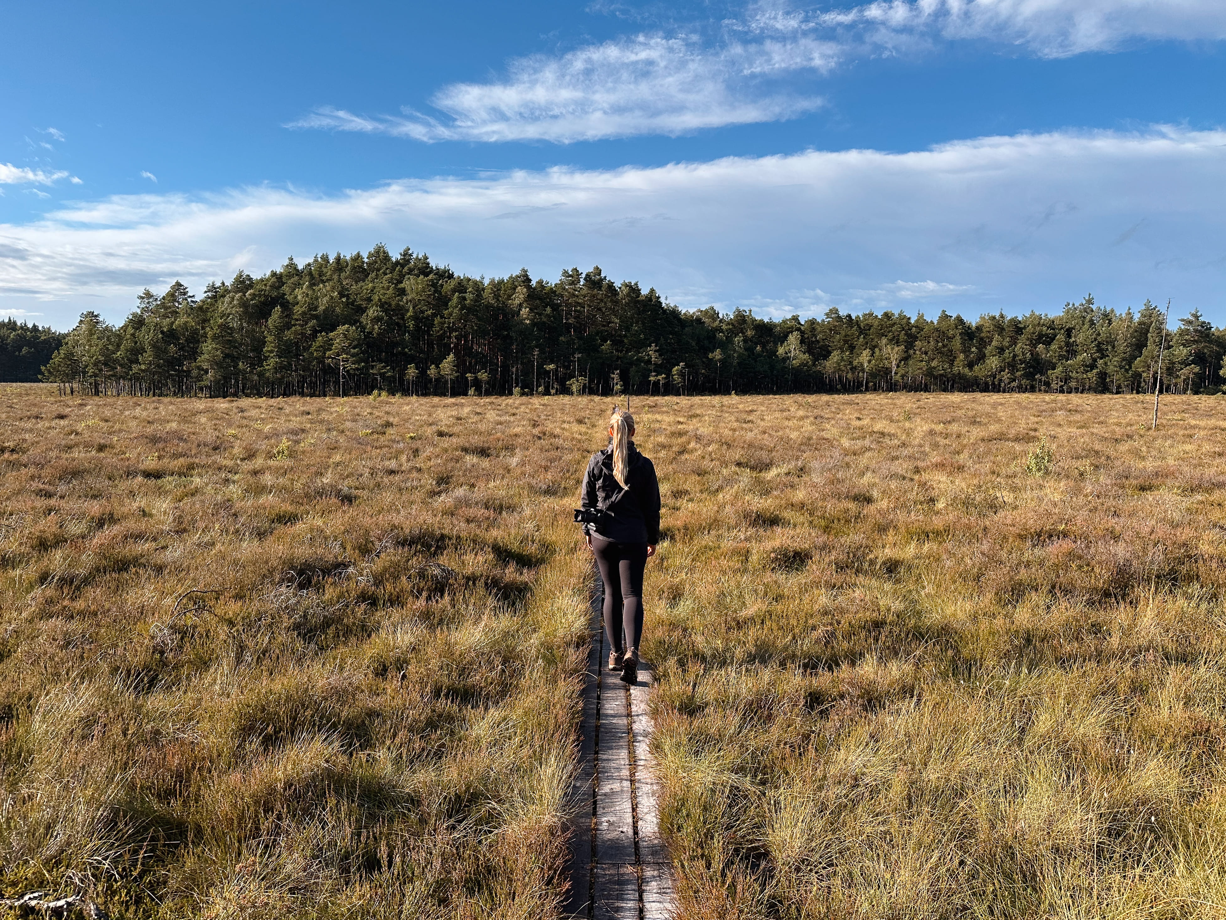 Mitternachtssonne in Nordschweden