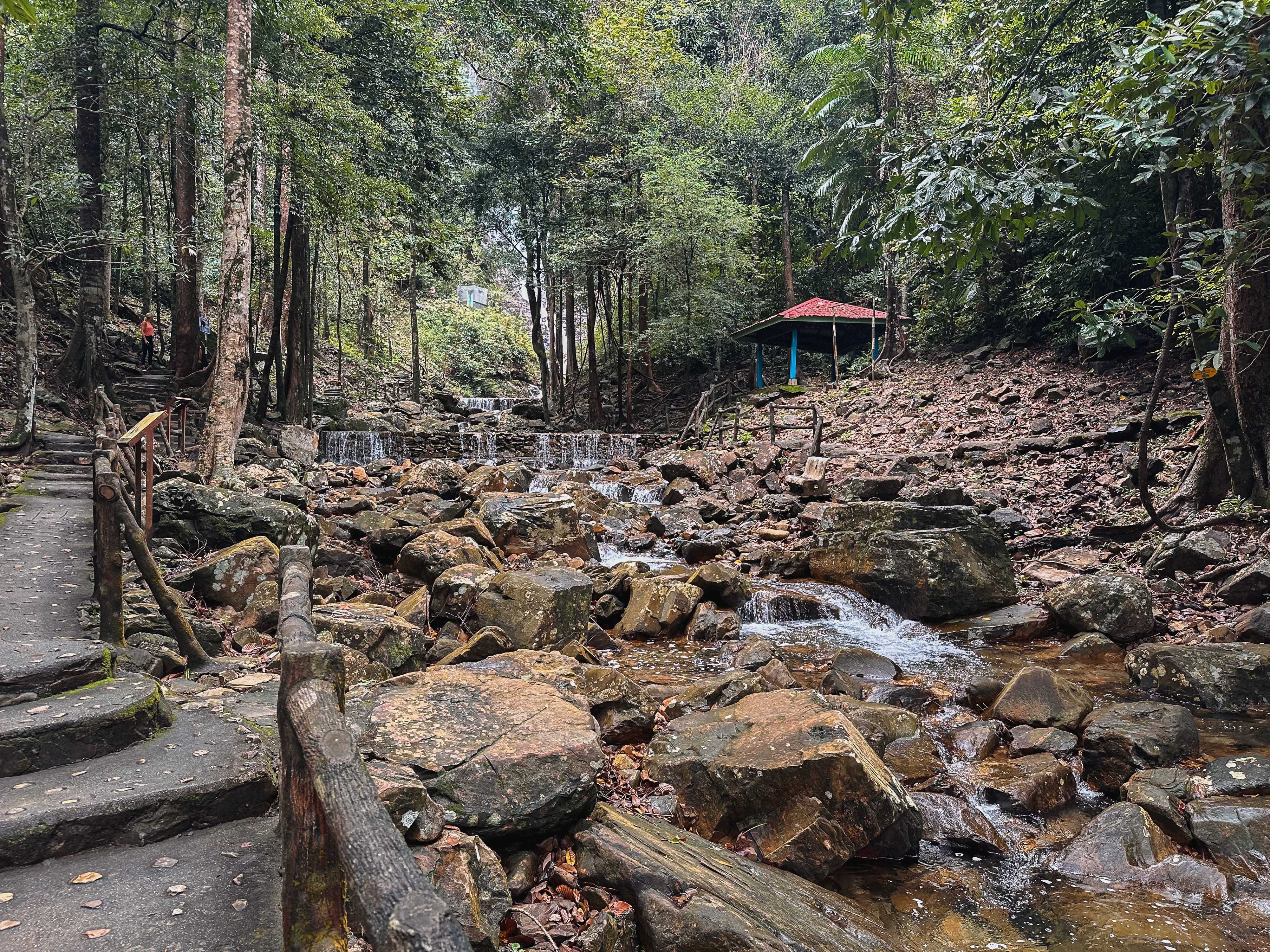 Mangroven Langkawi